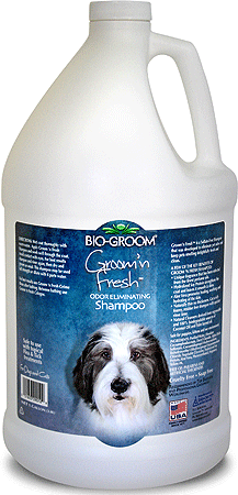 [BG29028] BIO-GROOM Groom'n Fresh Shampoo Gallon