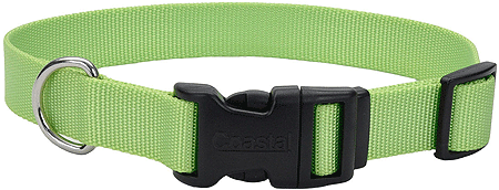 [CA6401 LIME] COASTAL TUFF Adjustable Dog Collar 5/8 x10-14 Lime