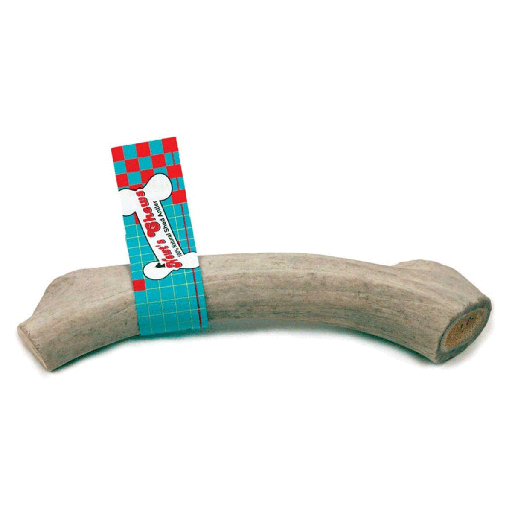 [NCS04529] *NEWT'S CHEWS Original Antler Large Single